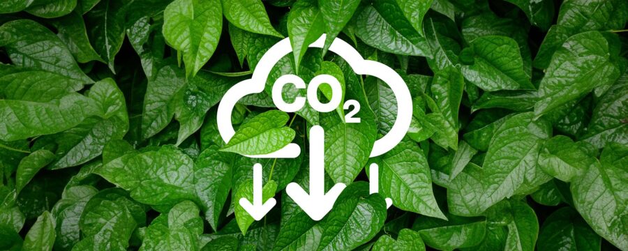 Símbolo de reducción de CO2 en blanco sobre un fondo de hojas verdes.