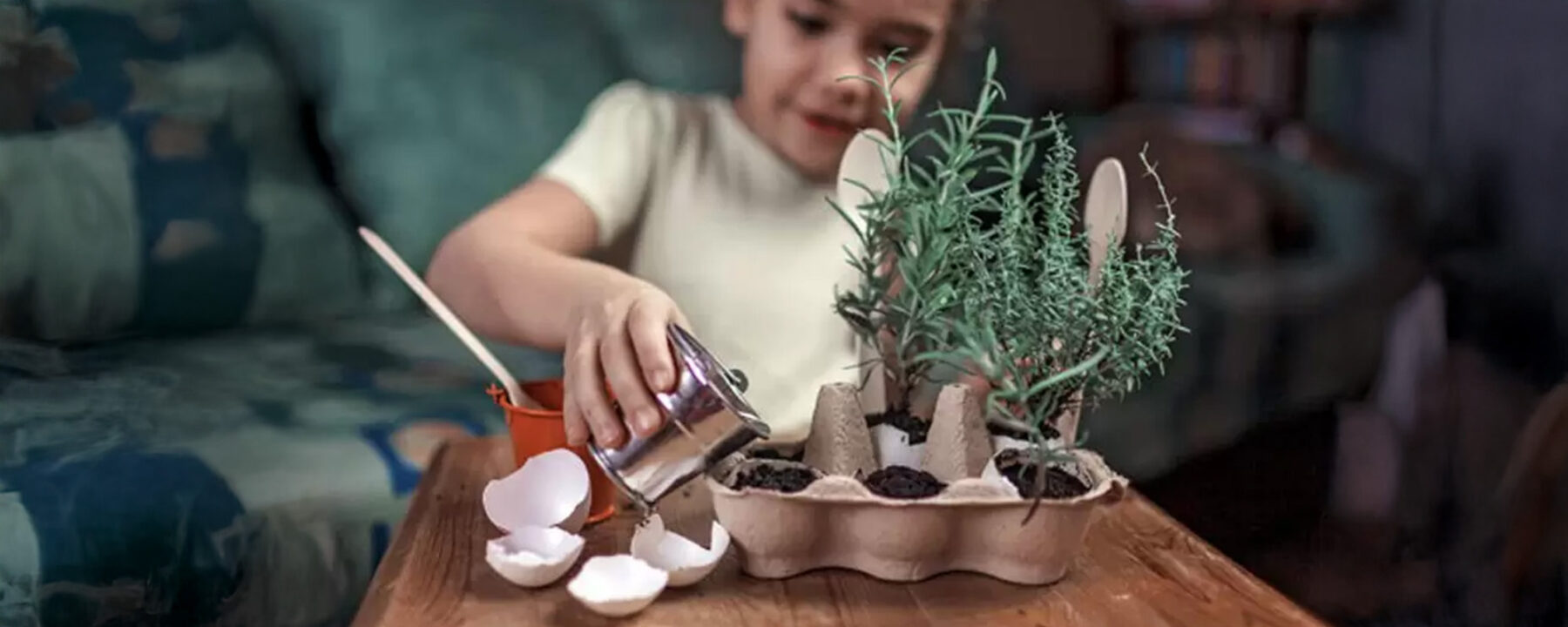 Niña riega pequeñas plantas en un envase de cartón reciclado con cáscaras de huevo, fomentando la reutilización y el cultivo sustentable.