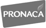 Logo Pronaca